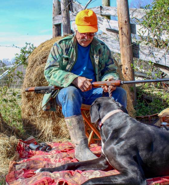 istock Active senior man with shotgun and dog hunting 1140824196
