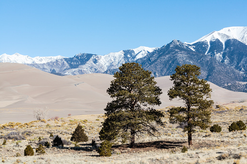 Dramatic Panoramic of the Great Sand Dunes National Park in Colorado