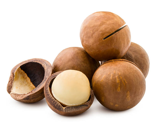 istock macadamia, nut, isolated on white background, clipping path, full depth of field 1140825187