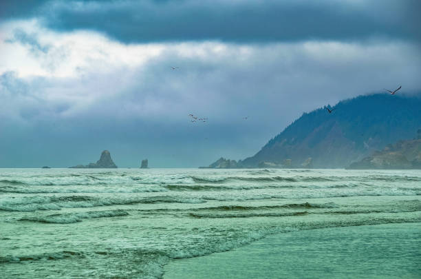 istock Oregon Cannon Beach  at and near Haystack rock 1140825197