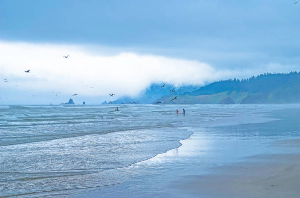 istock Oregon Cannon Beach  at and near Haystack rock 1140827293