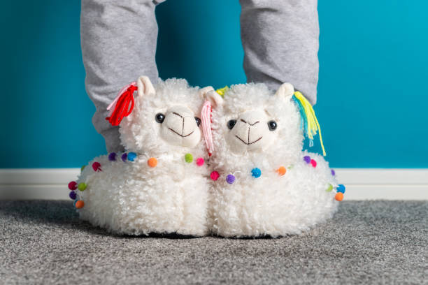 istock Young girl is wearing cute soft 3d llama slippers 1140828546