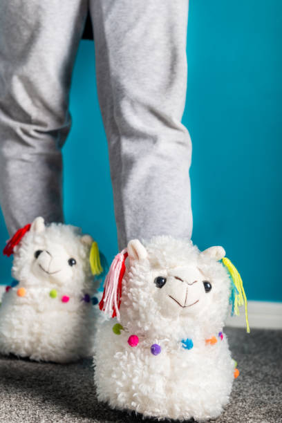 istock Young girl is wearing cute soft 3d llama slippers 1140828548
