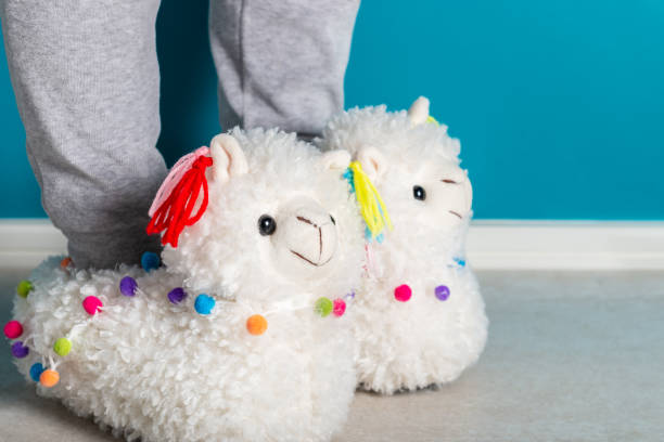 istock Young girl is wearing cute soft 3d llama slippers 1140828549