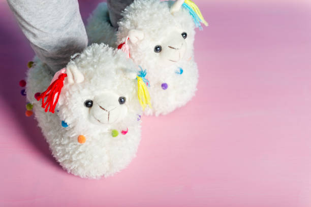 istock Young girl is wearing cute soft 3d llama slippers 1140828554