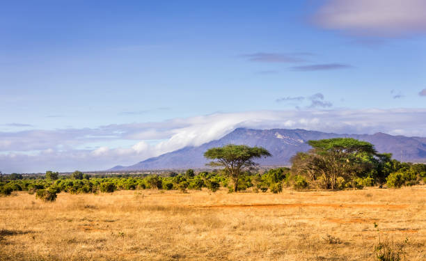 istock Savannah plains landscape in Kenya 1140828950