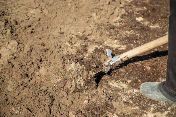 istock Dig a garden shovel. Gardening. Selective focus. 1140833059
