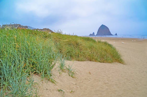 istock Oregon Cannon Beach  at and near Haystack rock 1140833815