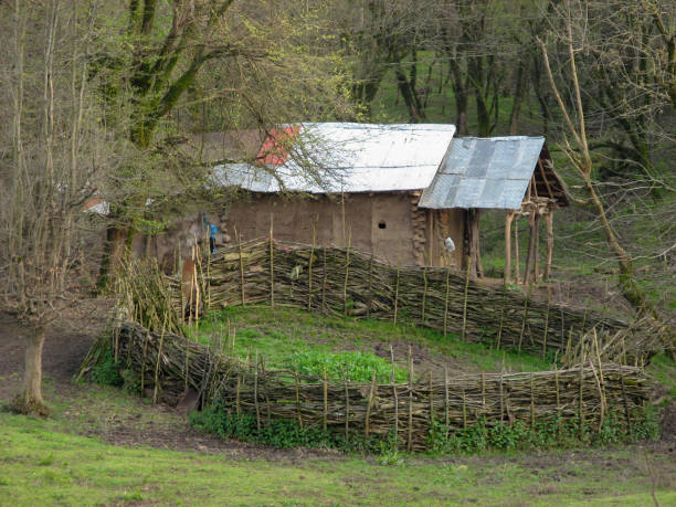 A beautiful garden in Iran, Gilan, Asia