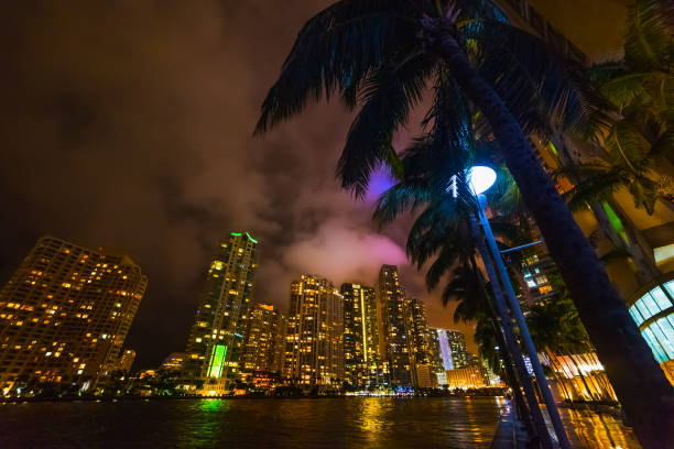 istock Palm trees and skyscrapers in Miami river walk by night 1140834198