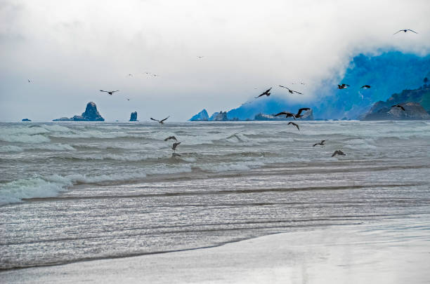 istock Oregon Cannon Beach  at and near Haystack rock 1140834416