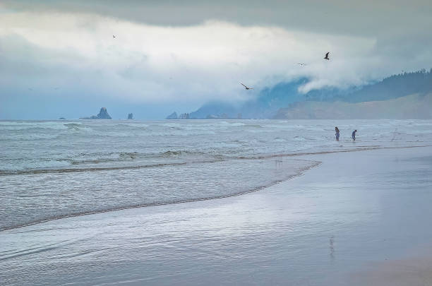 istock Oregon Cannon Beach  at and near Haystack rock 1140834468