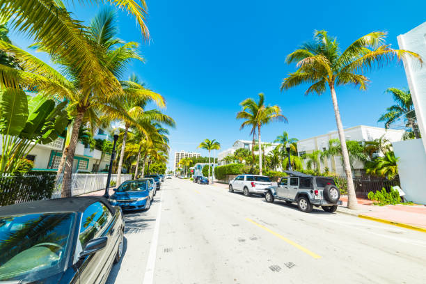 istock Palm trees in world famous Miami Beach 1140835170