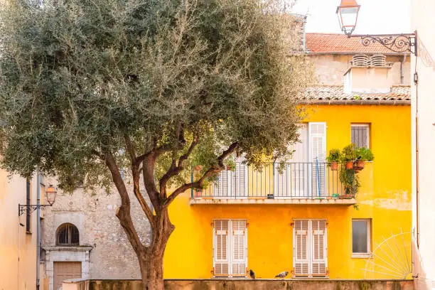 Photo of Nice in France, building yard