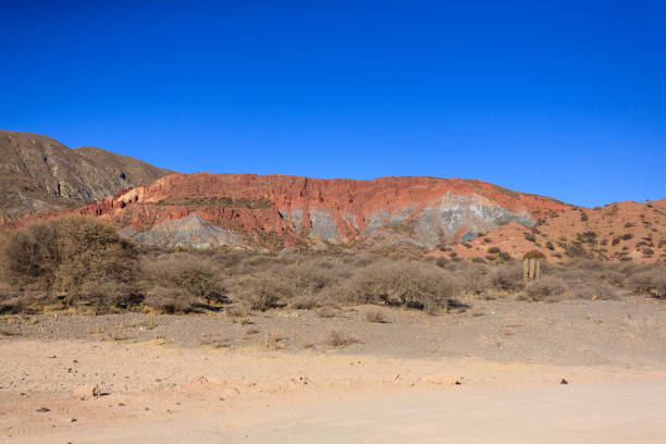 Bolivian dirt road view near Tupiza,Bolivia.Quebrada de Palmira area.Bolivian landscape