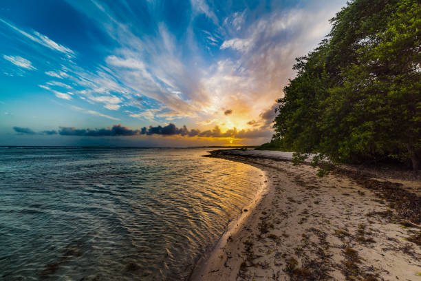 Beautiful sunset in Bois Jolan beach in Guadeloupe, French west indies. Lesser Antilles, Caribbean sea
