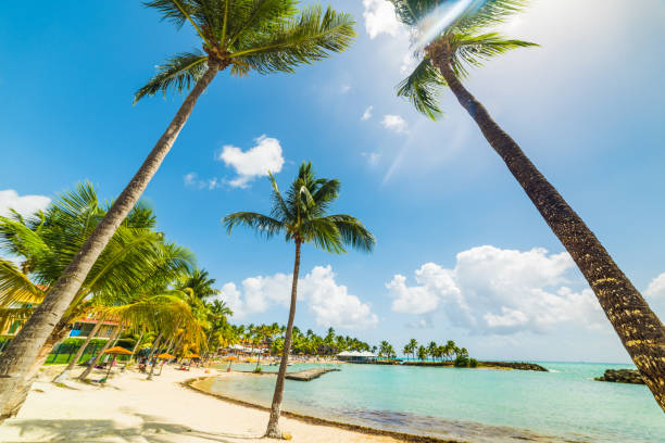istock Sun shining over Bas du Fort beach in Guadeloupe 1140837001