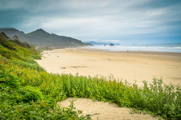 istock Oregon Cannon Beach  at and near Haystack rock 1140841977