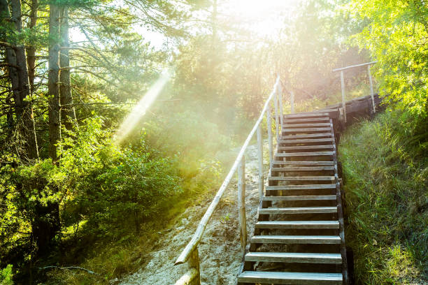 istock staircase with railing in the national Park 1140842313