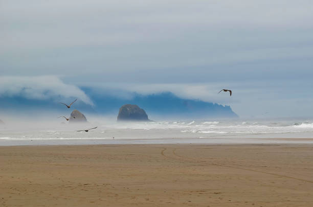 istock Oregon Cannon Beach  at and near Haystack rock 1140843166