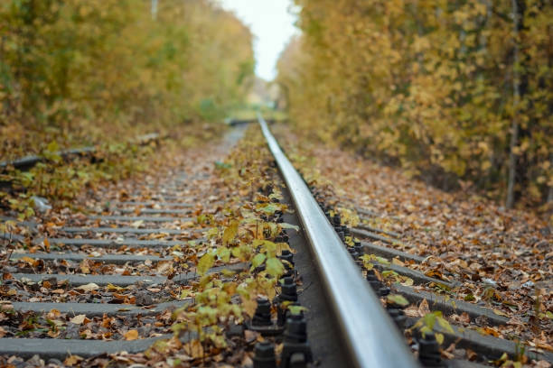 istock railway tracks in the autumn forest 1140844327