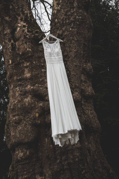 istock White elegant fashionable bride dress hanging 1140845207