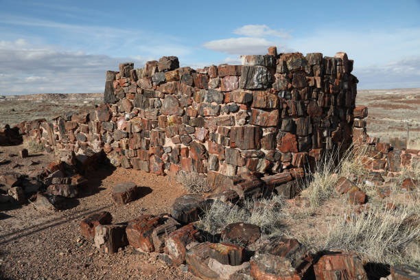 istock Agate House at Petrified Forest National Park 1140847813
