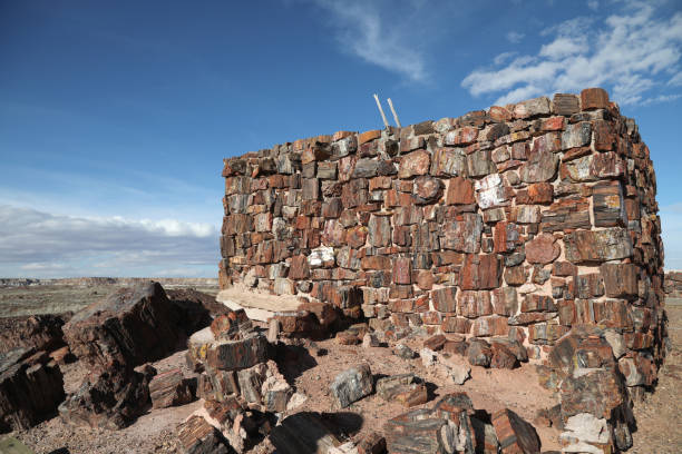 istock Agate House at Petrified Forest National Park 1140847854