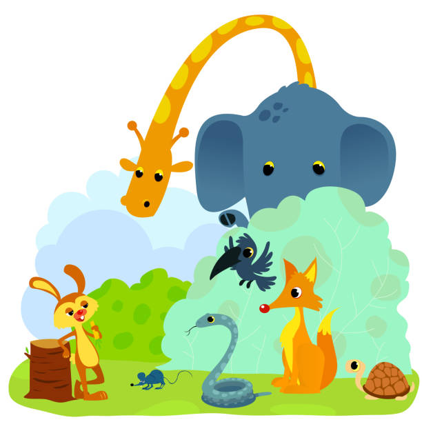 ilustrações de stock, clip art, desenhos animados e ícones de tortoise and the hare or turtle and the rabbit fable vectoral illustration. - the hare and the tortoise