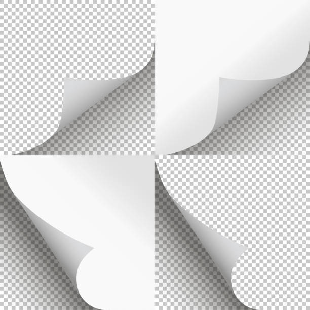 페이지 컬 세트 세련 된 일러스트 벡터 디자인 - peeling stock illustrations