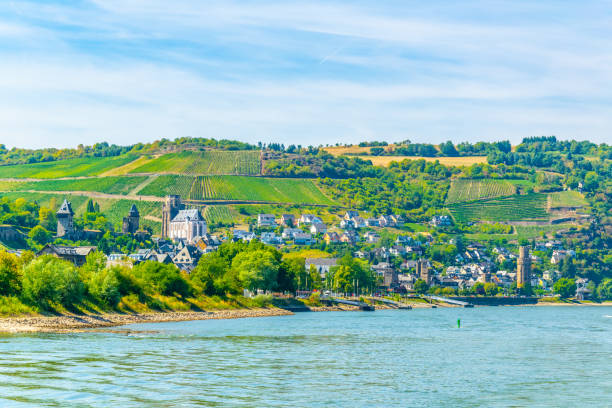 istock St. Goar Oberwesel town in Germany 1140855947