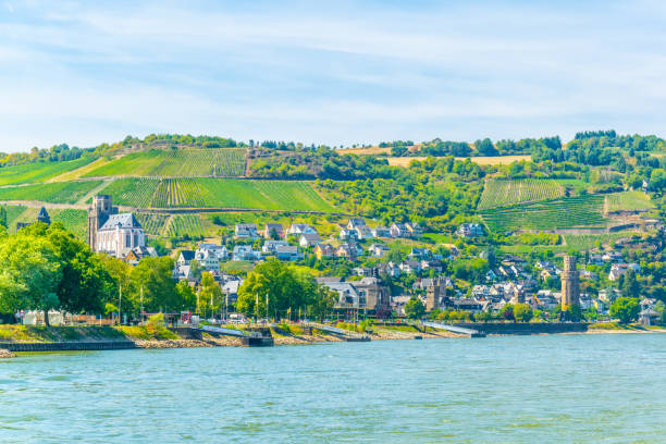 istock St. Goar Oberwesel town in Germany 1140856049