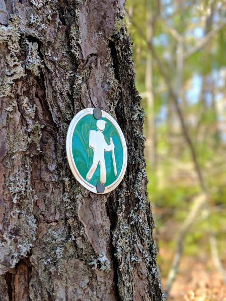 istock Trail marker in the woods 1140866758