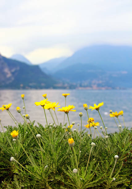 istock Como lake, Italy 1140873560