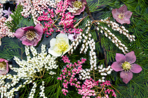 istock Flower arrangement on water 1140873786