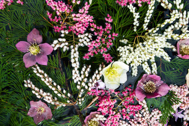 Flower arrangement on water