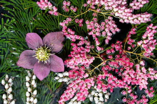 istock Flower arrangement on water 1140873802