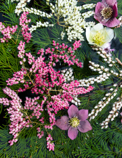 istock Flower arrangement on water 1140873804