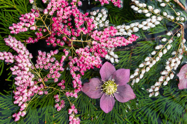 istock Flower arrangement on water 1140873813