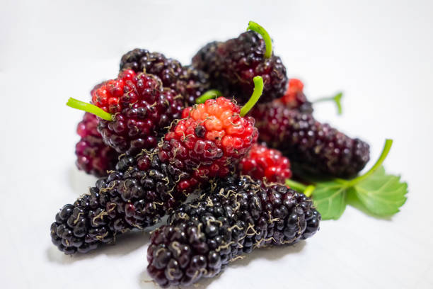 istock Mature mulberries in a white background 1140885010