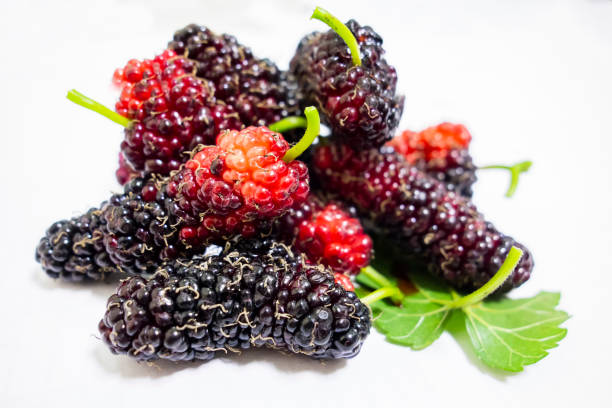 istock Mature mulberries in a white background 1140885018