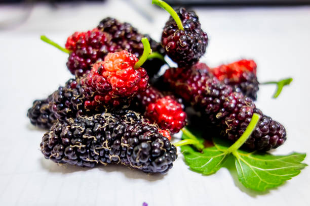 istock Mature mulberries in a white background 1140885026