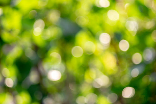 istock Nature green bokeh background 1140892854
