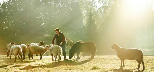 Photo of Quality feed makes for quality livestock