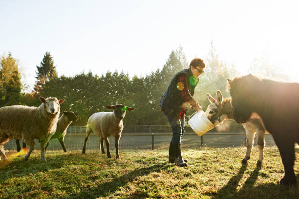 Hand fed animals are happy animals