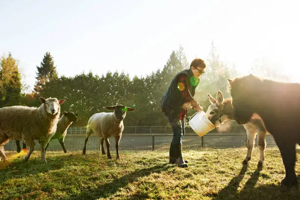 Photo of Hand fed animals are happy animals