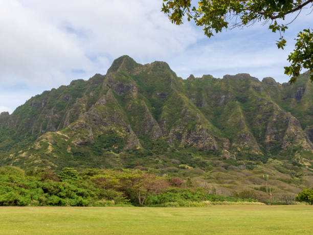 istock Hawaiian Green Jungle Mountain 1140907165
