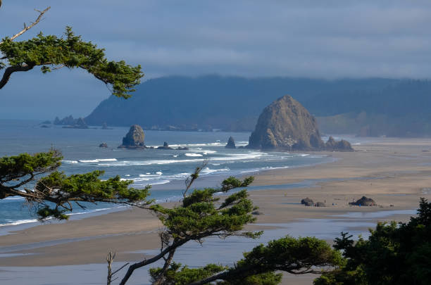 istock Pacific coast - Oregon Cannon Beach  at and near Haystack rock 1140909587
