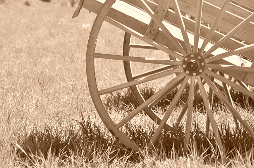A pioneer handcart wooden wheel on a handcart sitting in a field of weeds, monochrome.