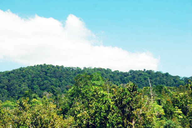 istock Beautiful Mountain range and tree landscape in Krabi, Thailand. 1140914127